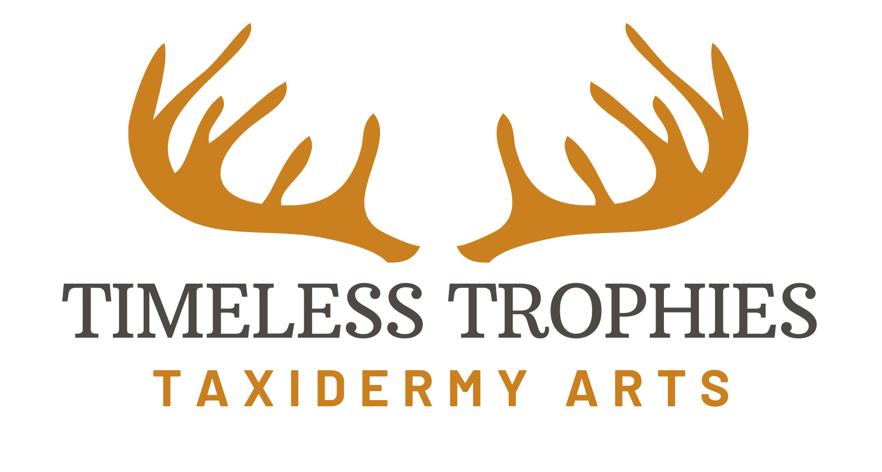 Timeless Trophies Taxidermy